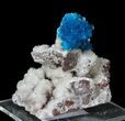 Vibrant Blue Cavansite Cluster on Stilbite - India #62875-2